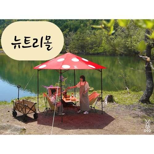 키노코타프