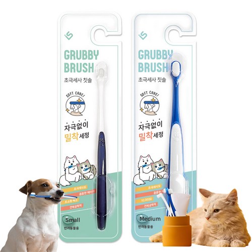 그루비칫솔