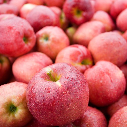 당도선별 못난이 경북 사과 2kg 꼬마과 소과 중과 대과, 경북사과 2kg 대과 6과내외, 1개