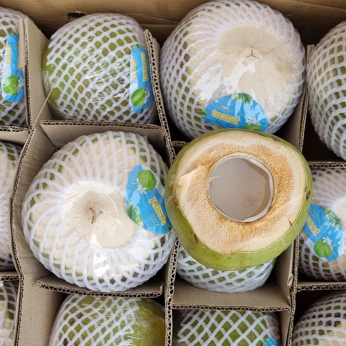 컷코코넛, 2개, 1.1kg 내외