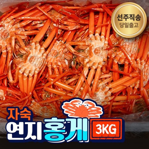 [선주직송] 포항 구룡포 자숙 연지 홍게 3kg A급/실속형 수율보장 산지배송, A급 연지홍게 3kg (10~12미) - 킹크랩 추천