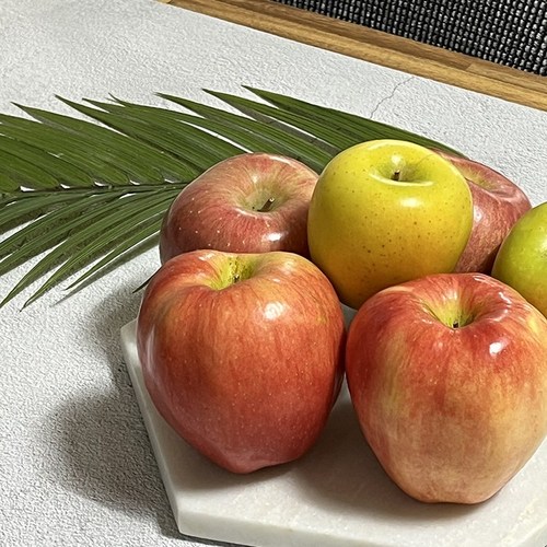 [산지 직송] 2024 시나노골드 햇사과 부사 햇사과 가정용 사과, 시나노골드 중과 4.5kg, 1개