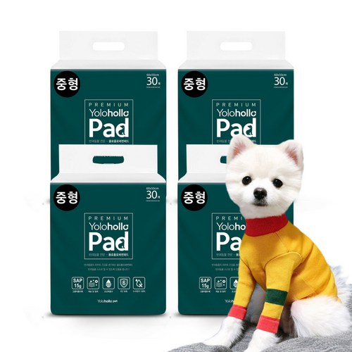 욜로홀로패드