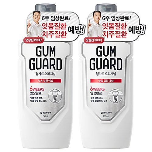 검가드 오리지널 구강청결제, 750ml, 2개