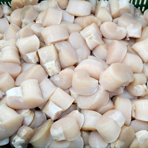 자연산 키조개 관자 급냉 500g 12-16미 내외, 1개