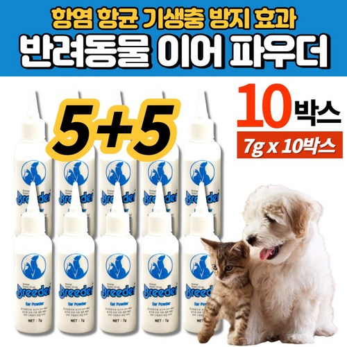 에코이어스
