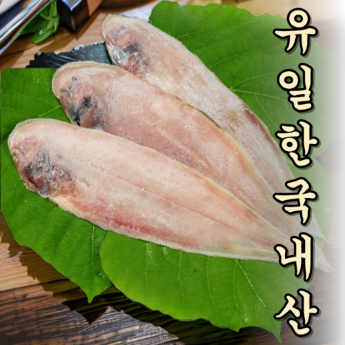 산지직송 꼬들꼬들 끝판왕 국내산 군산 박대, 1박스, 27cm 내외 - 10미