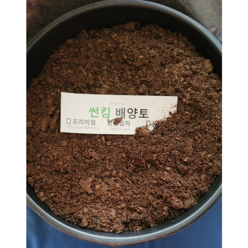 안핌스코디2플러스
