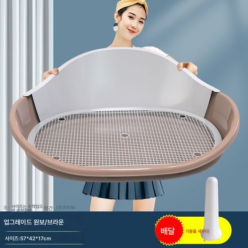 배변자동