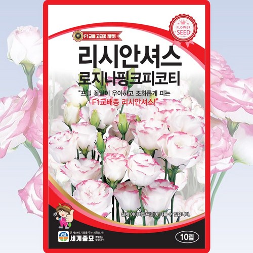 리시안셔스 로지나핑크피코티 씨앗 10립 리시안셔스 도라지꽃 씨 종자, 1개