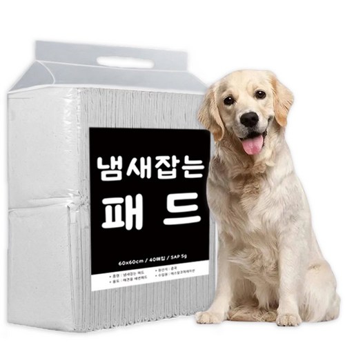 냄새안나개