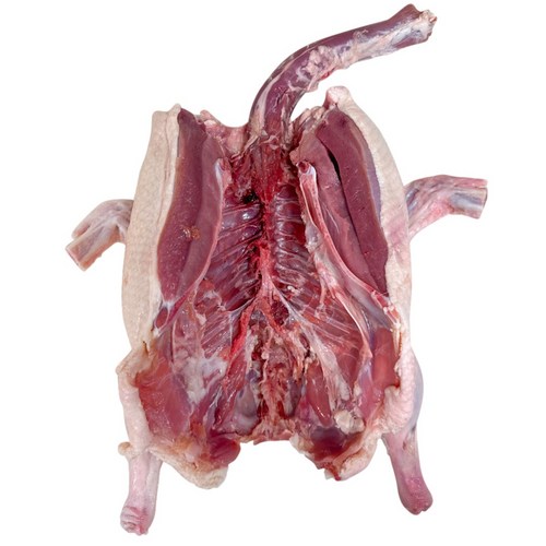 국내산 통오리 백숙 생오리, 2300g, 3개, 28호(2.2kg~2.3kg)개복