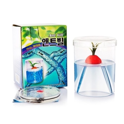 개미키우기