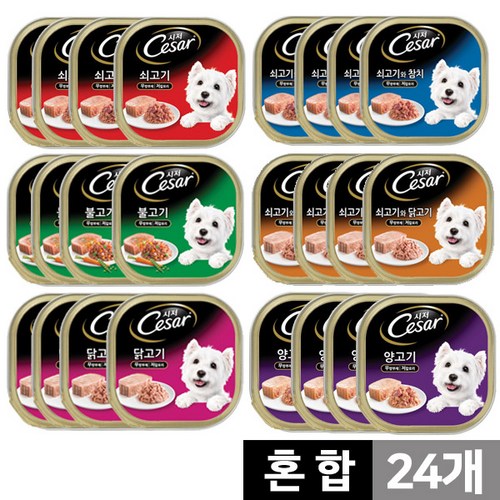시저강아지 추천 9