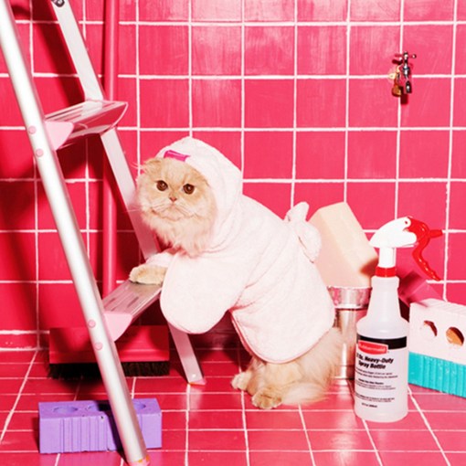 캣츠모리 반려동물 전용 물먹는 목욕가운, 혼합 색상, 1개