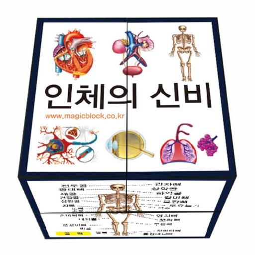 로호사이언스 매직큐브 매직블록 고급형 5인
