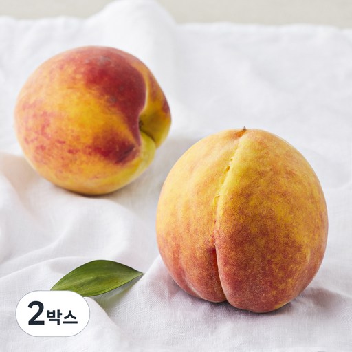 아주마 산지직송 영동 하우스 복숭아