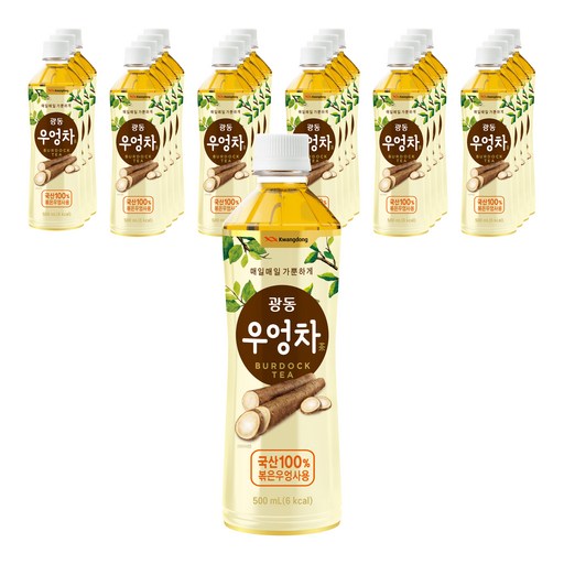 광동제약 우엉차