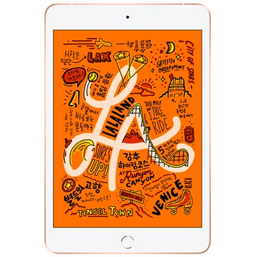 Apple iPad mini 5세대, Wi-Fi+Cellular, 256GB, 골드