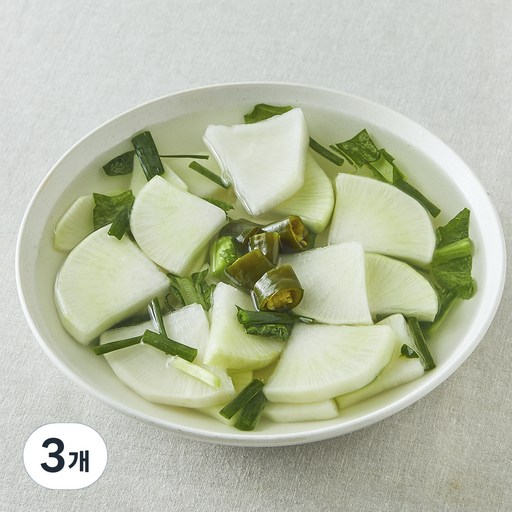 팽현숙 최양락의 맛있는 옛날 동치미