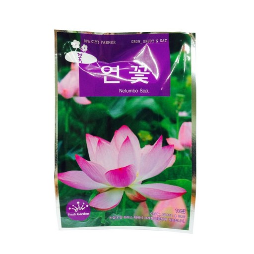 프레시가든 연꽃 씨앗
