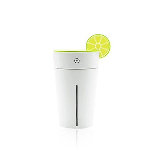 애니클리어 차량용 휴대용 USB 가습기