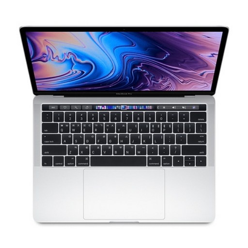 Apple 2019 맥북 프로 터치바 13, 실버, 코어i5 8세대, 인텔 lris Plus 그래픽스 645, 256GB, 16GB