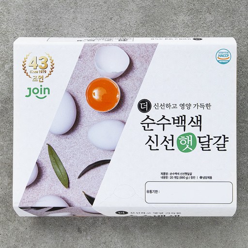 조인 백색 중란