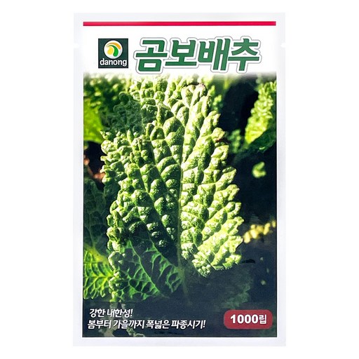 다농 곰보배추 씨앗 1000p