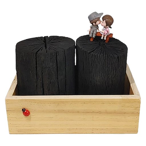 가꾸지오 우드박스 + 참숯 1.5kg 세트