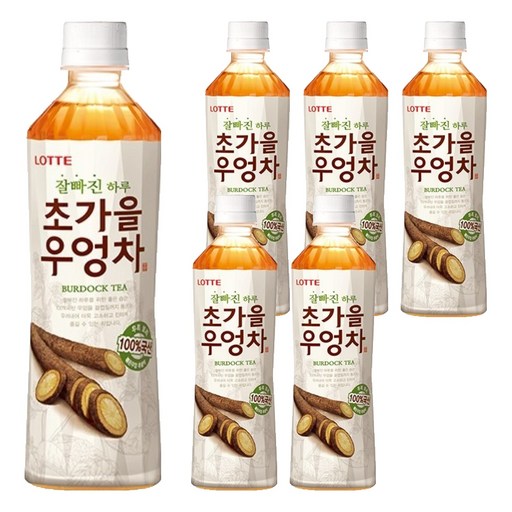 롯데칠성음료 잘빠진하루 초가을우엉차