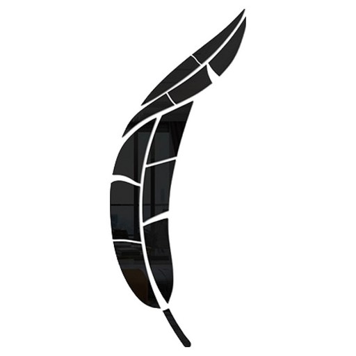 홈플로우 깃털 디자인 아크릴 미러 인테리어 소품 월아트
