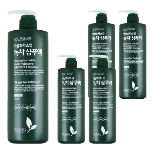 모에타 어성초 자소엽 녹차 샴푸액 지성 두피용