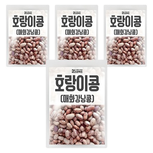 조은약초 매화 강낭콩