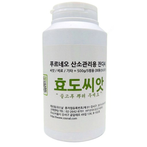푸르네오 효도씨앗 산소관리용 잔디씨앗