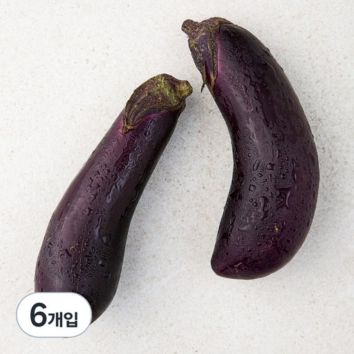 친환경 가지