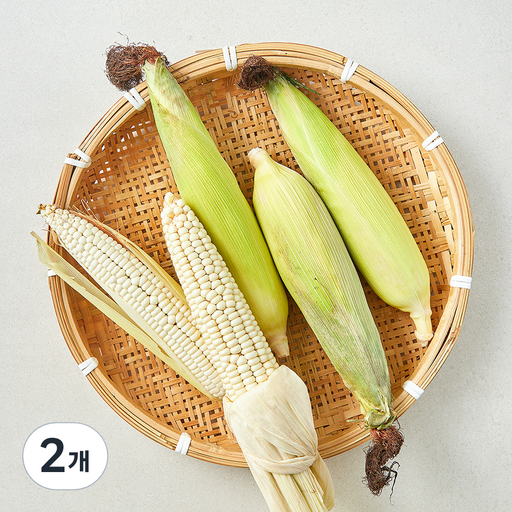 대학 찰옥수수