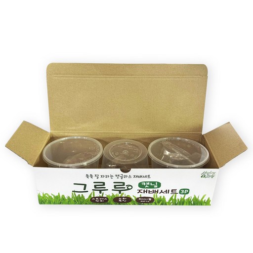 힐링타임 그루루 캣그라스 재배세트 3p