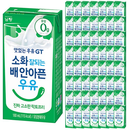 맛있는우유GT 소화 잘되는 배안아픈 우유 진짜 고소한 락토프리