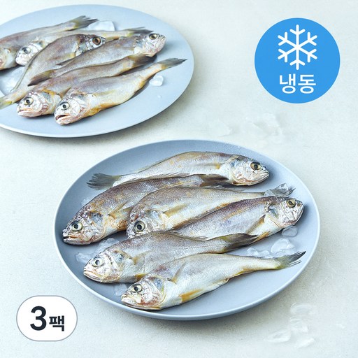 영광 법성포 굴비 20미 (냉동)
