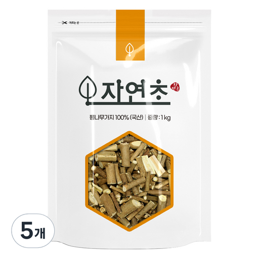 뽕나무가지 상지