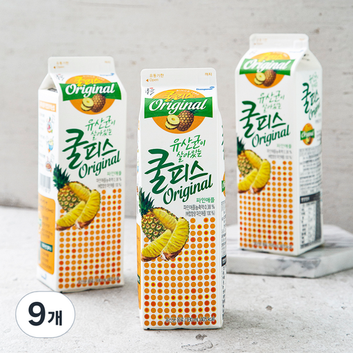 소와나무 쿨피스 파인