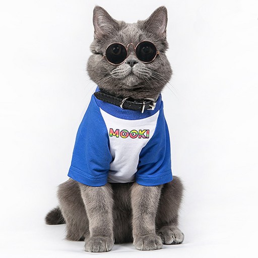 MING 강아지 고양이 나그랑티