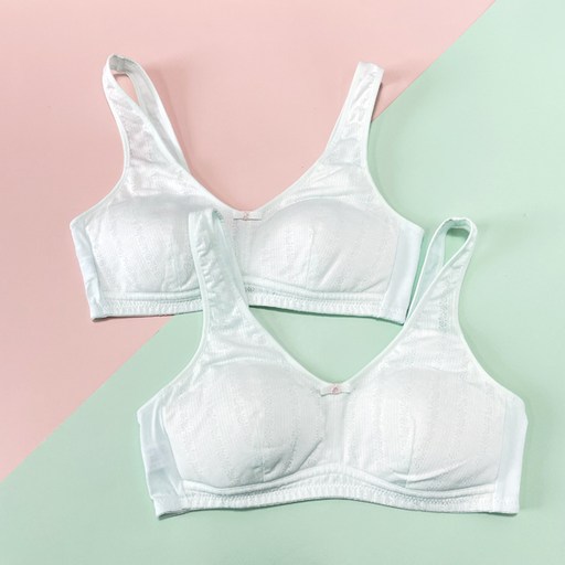 솔레일 여아용 이라이프 파스텔 V넥 펀칭 레이스 브라 2p