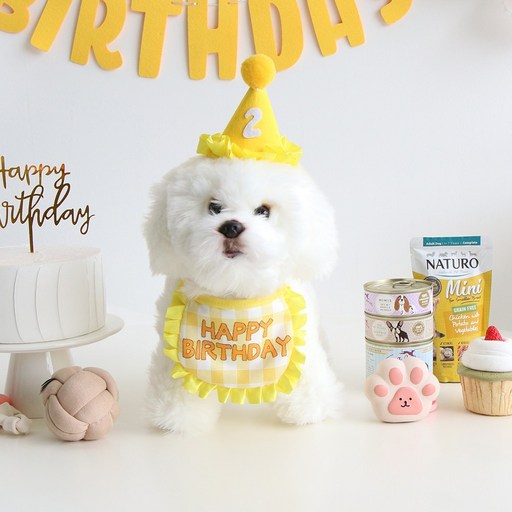 이벤트홀릭 강아지 고양이 생일파티용품 케이프 숫자고깔 세트