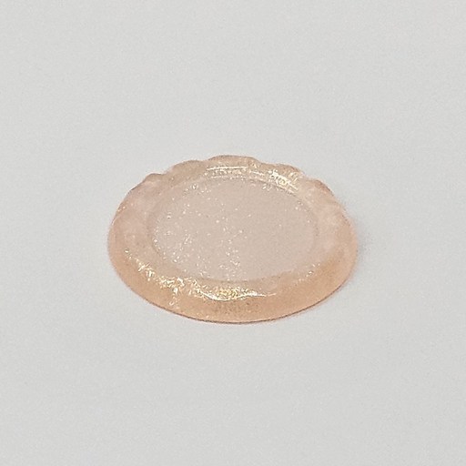 크레스티드 게코 이지클린 슈퍼푸드 밥그릇