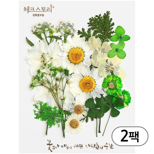 체크스토리 압화 컬러믹스 꽃모음 압화공예 2팩