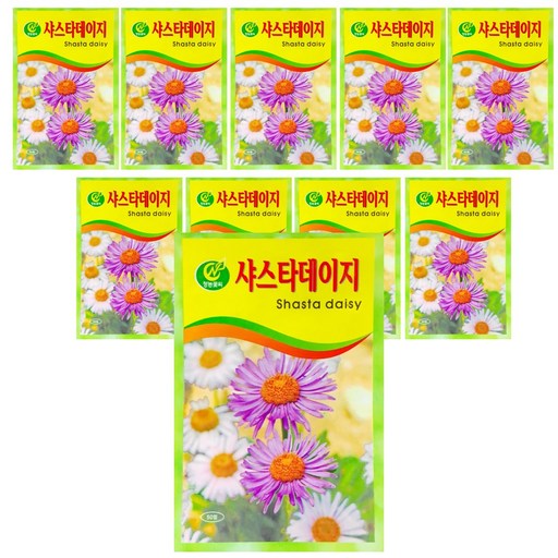 청농 꽃씨 샤스타데이지 50립 씨앗