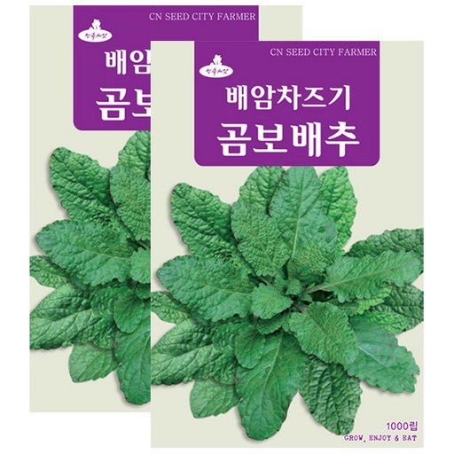 세인화분 곰보배추씨앗 1000립 민속채소 봄나물 반찬채소 씨앗 곰보배추