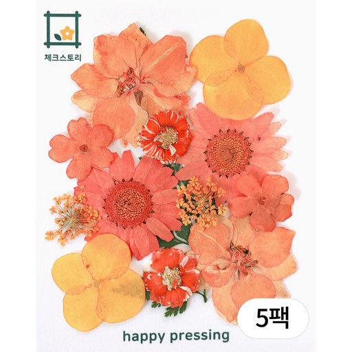 체크스토리 압화 레인보우압화 종합팩 조화 꽃송이 압화공예재료 수업재료 방과후수업 자연물놀이